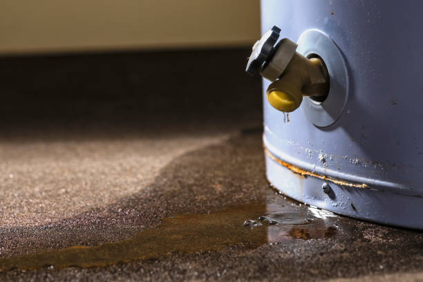Best Water damage restoration near me  in Wtmore Village, HI