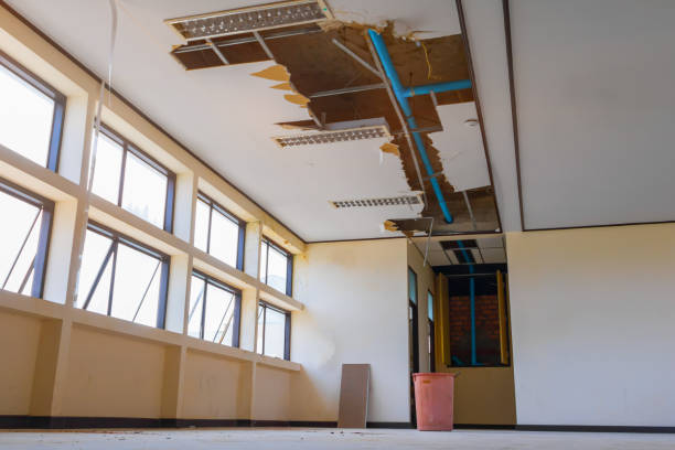 Best Sewage cleanup and water damage restoration  in Wtmore Village, HI