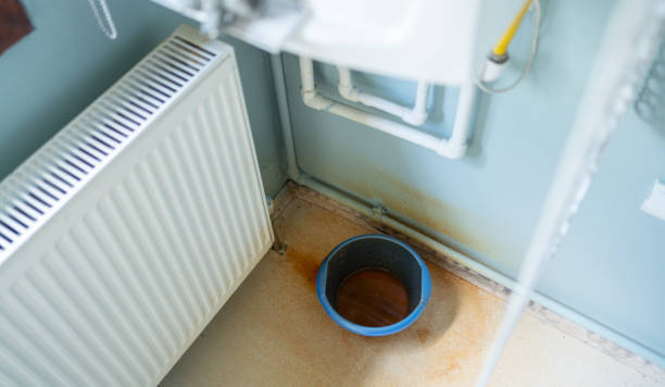 Best Flood restoration services  in Wtmore Village, HI
