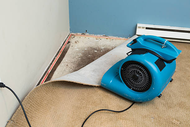 Trusted HI Water damage restoration Experts